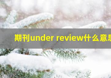 期刊under review什么意思